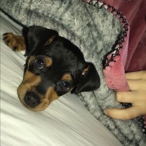 Meet your Posher, Juliana